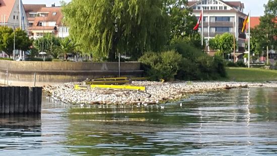 Esszimmer am See Restaurant
