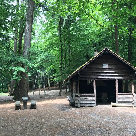 das Wildfreigehege Locherholz