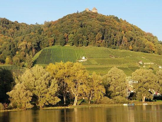 Camping & Landgasthof Wagenhausen