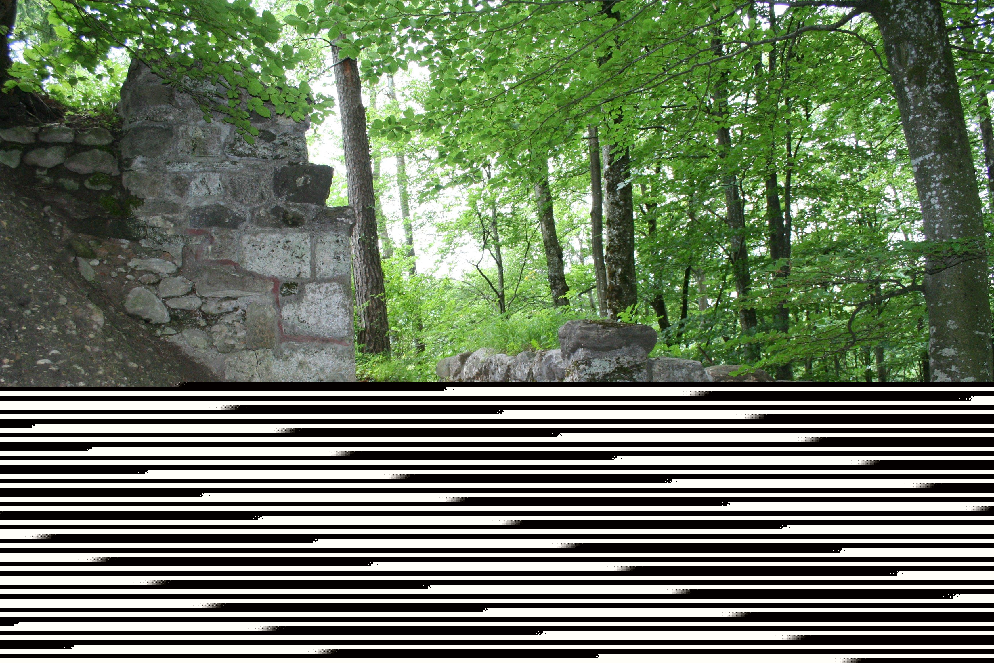 Ruine Alt-Landenberg