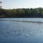 der Olsenweiher