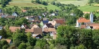 der Schwaningen