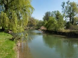 der Alte Rhein