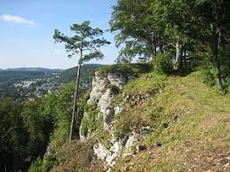 Burg Tailfingen