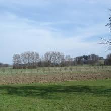 das Hepbacher-Leimbacher Ried