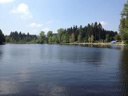 Waldsee