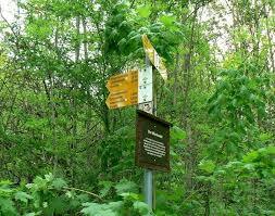 die Klingenbachschlucht