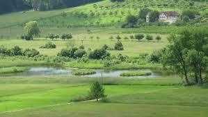 der Heinz-Sielmann-Weiher