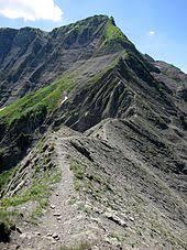 das Bregenzerwaldgebirge