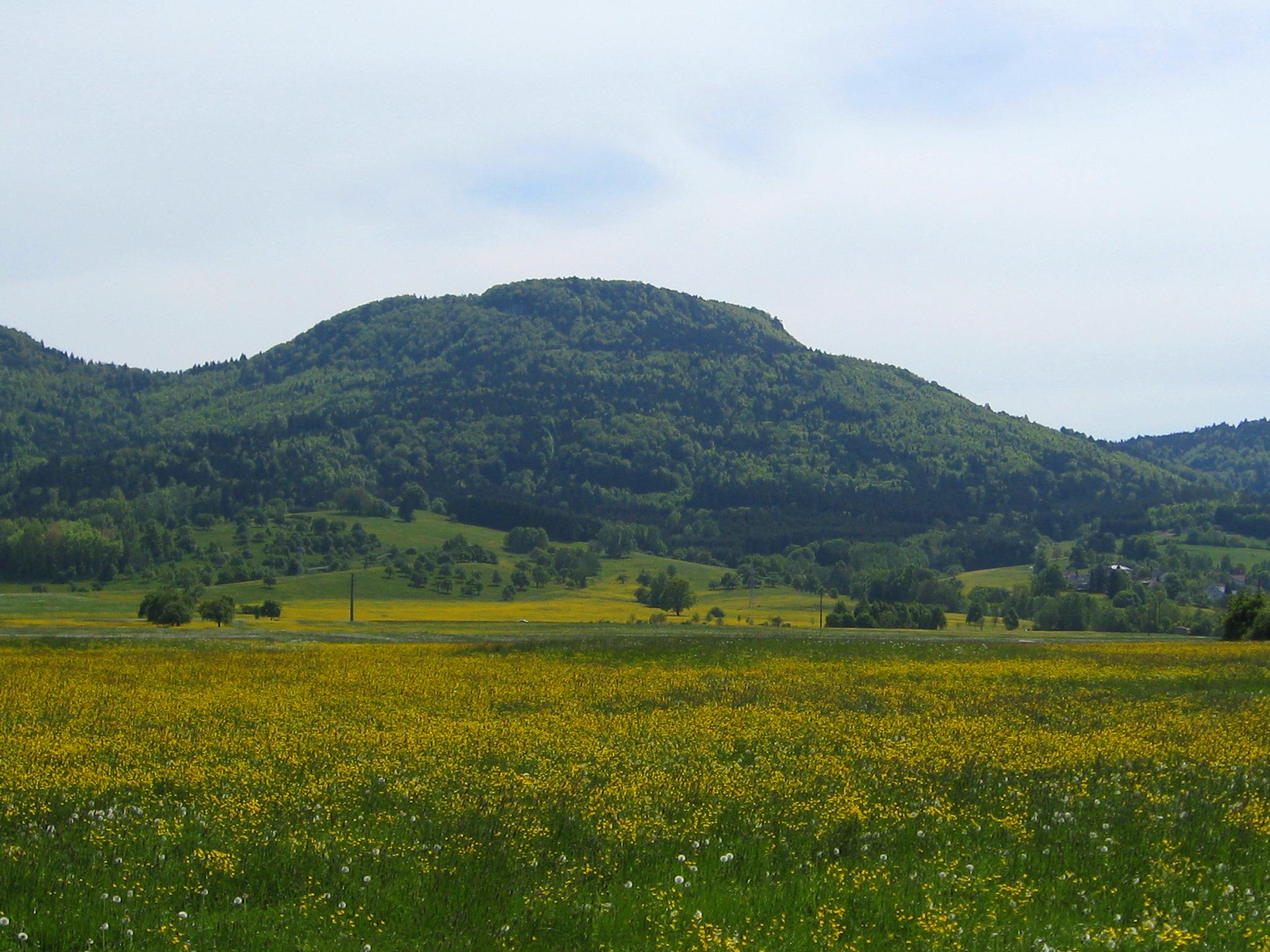 der Schafberg