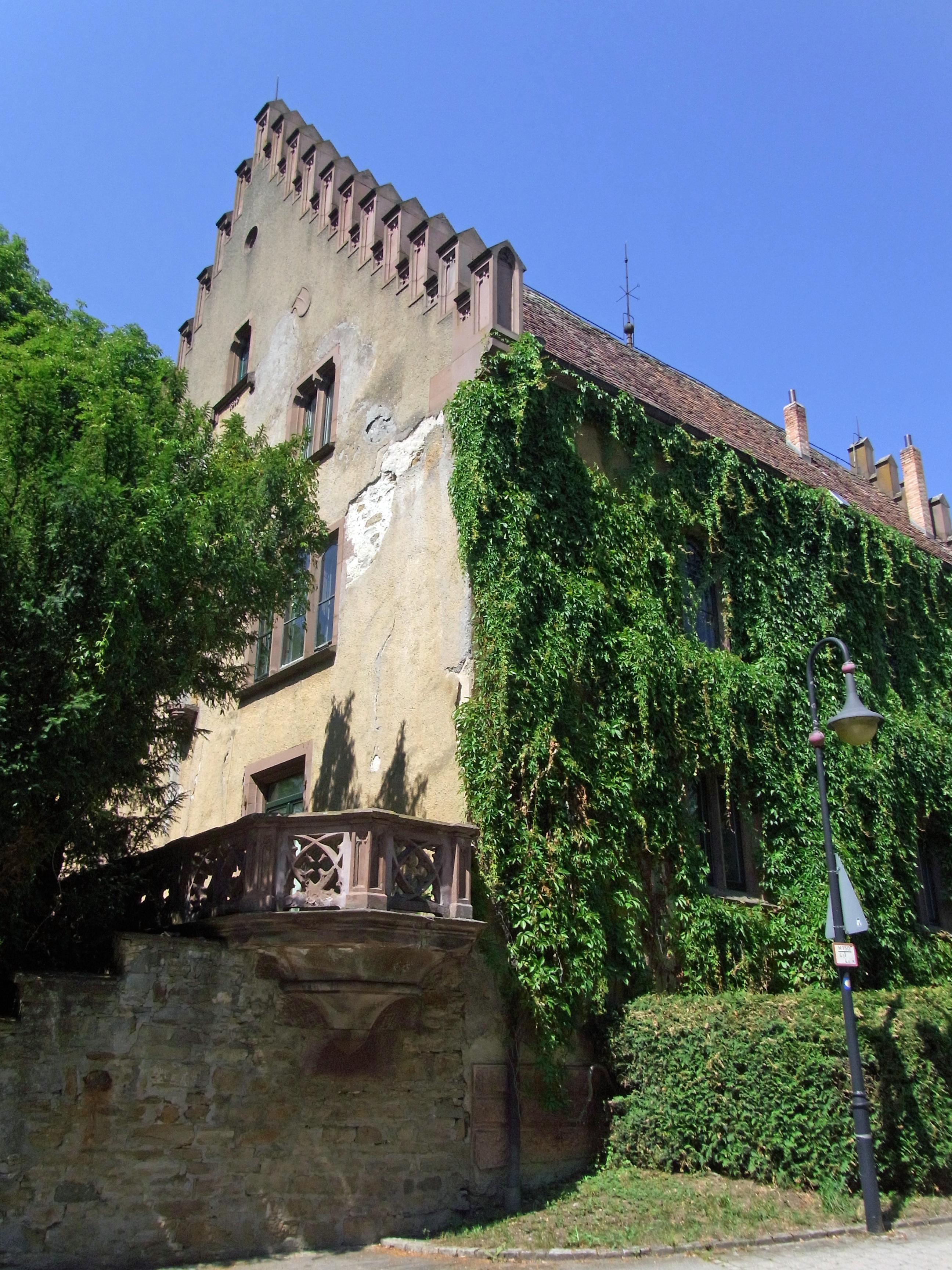 Burg Dotternhausen