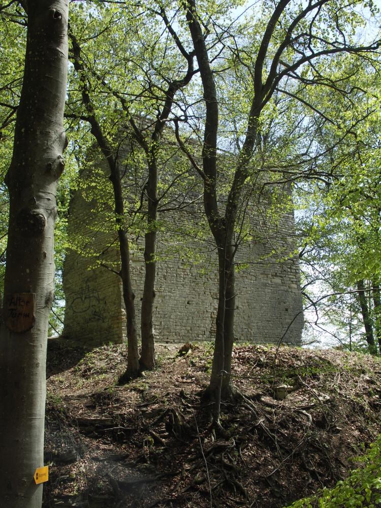 Burgruine Alter Turm Aach