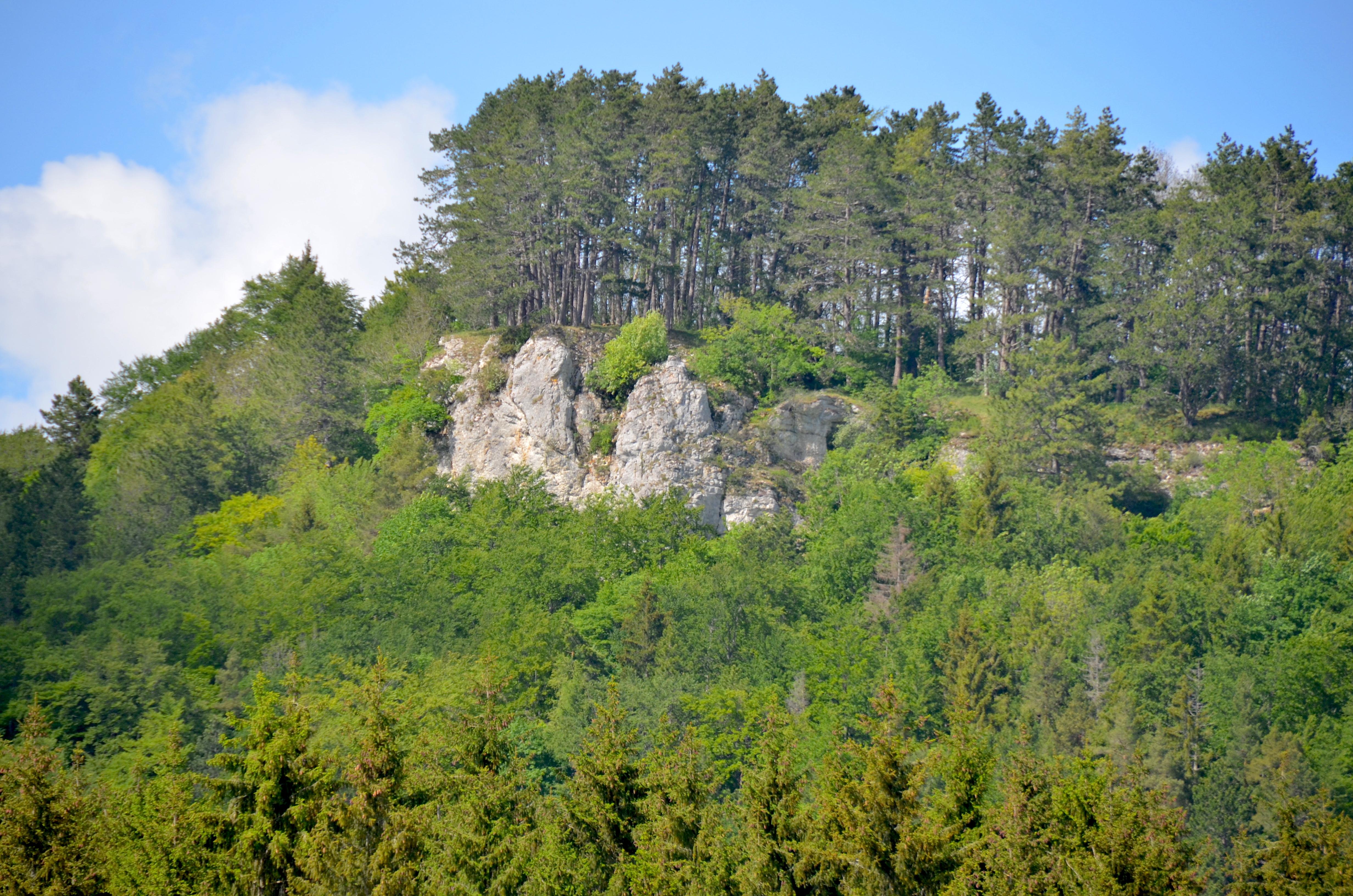 Wenzelstein