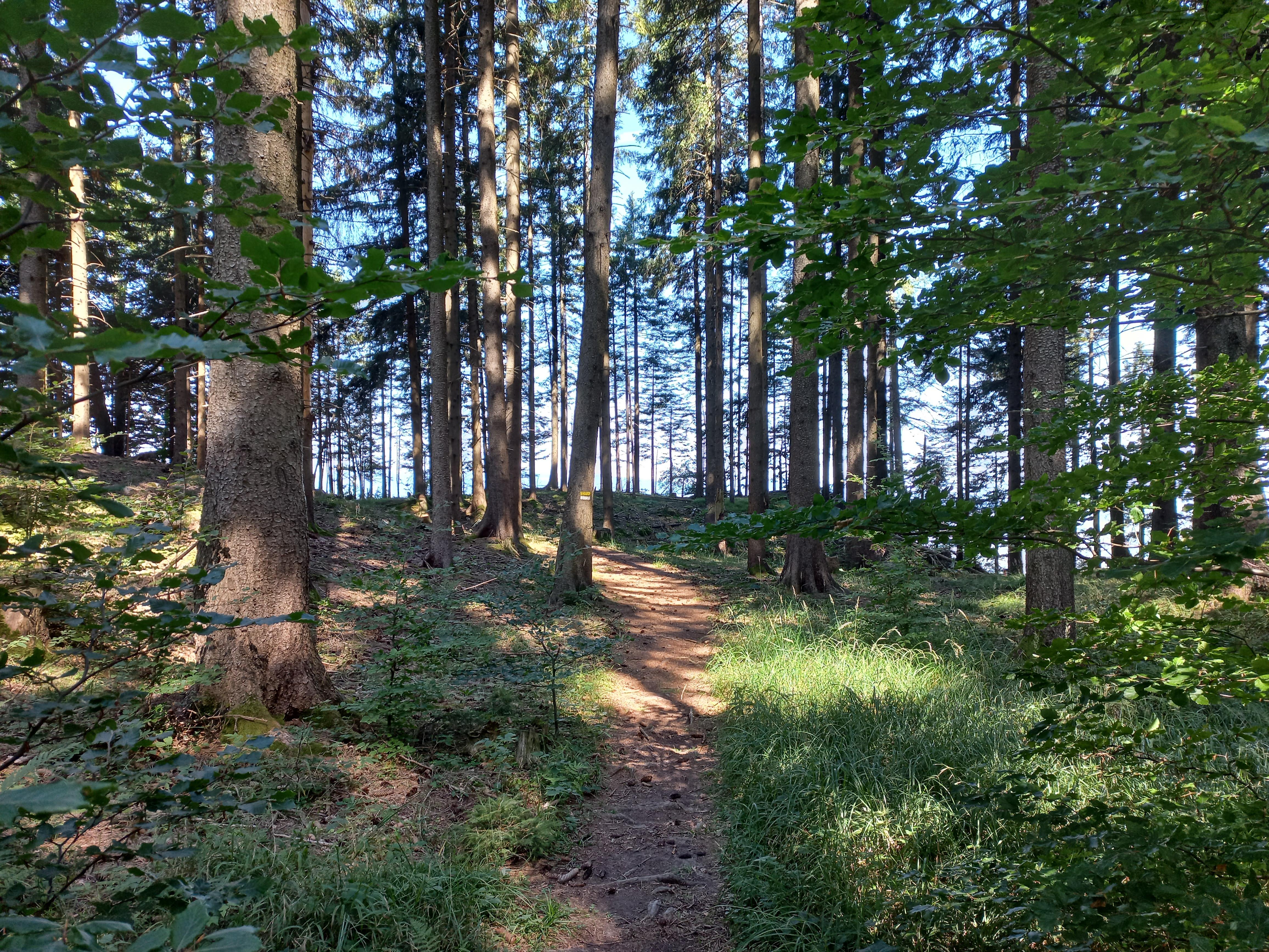 Hohe Lug