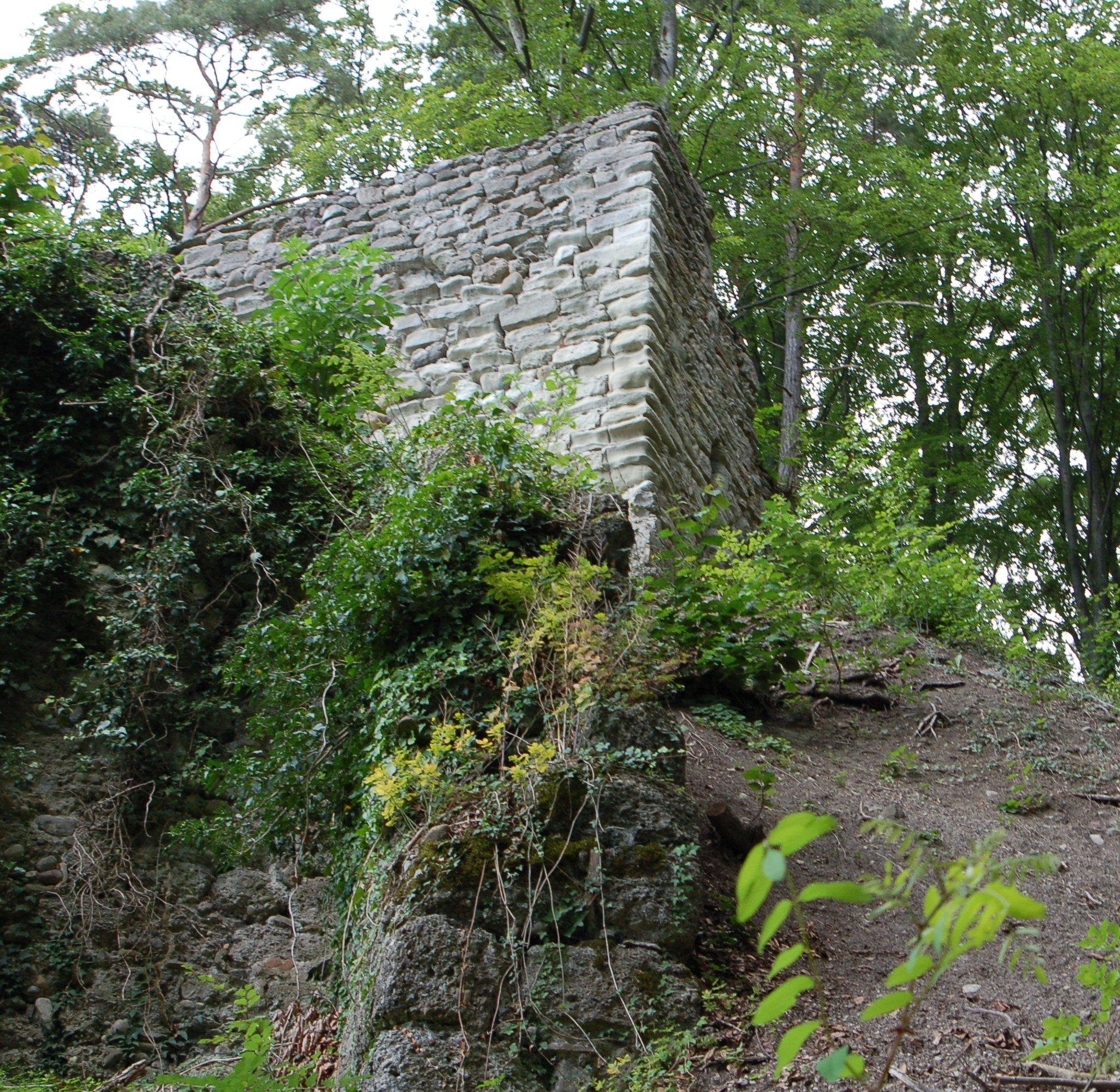 die Ruine Hohenfels