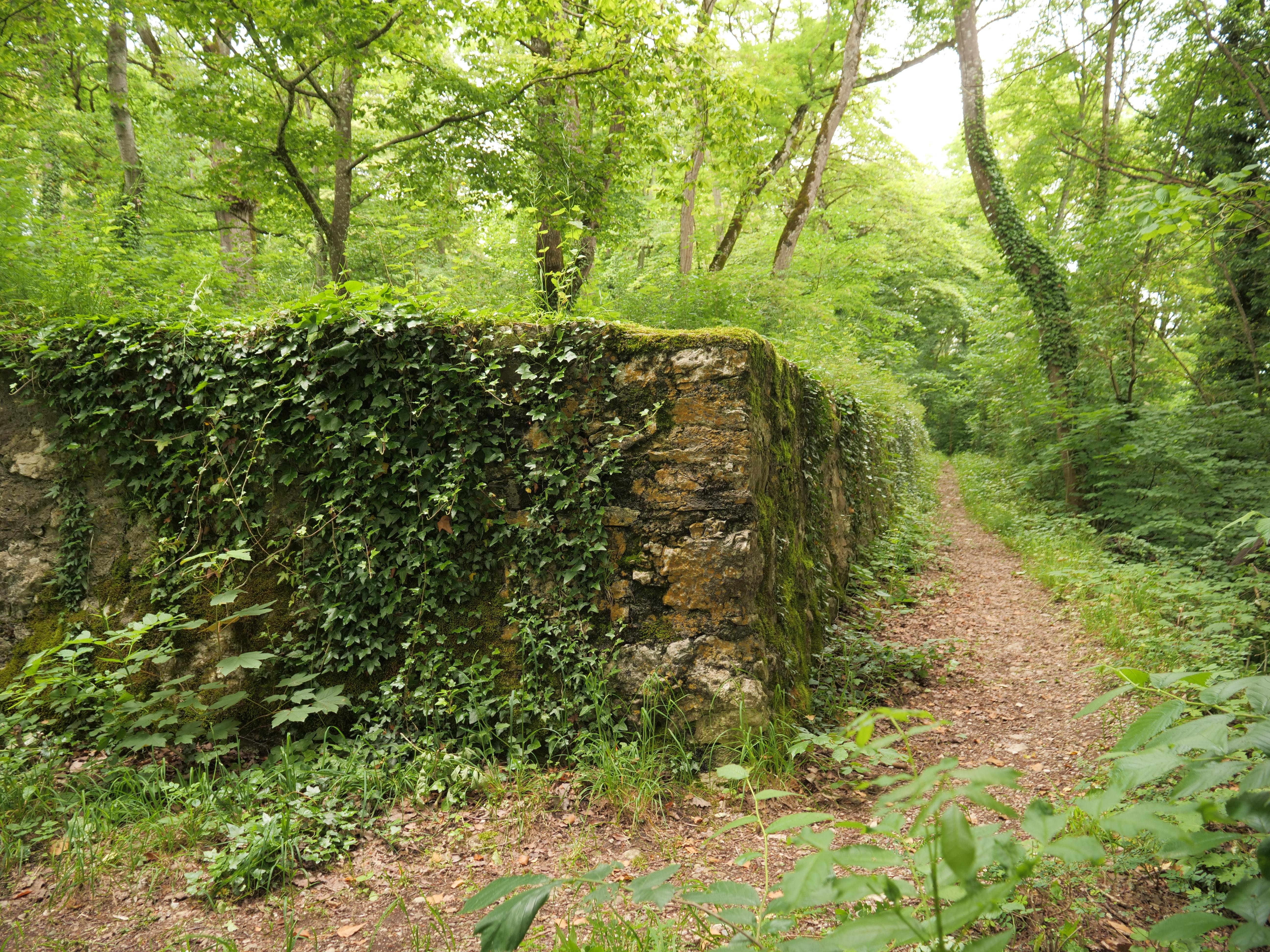 die Ruine Neuburg