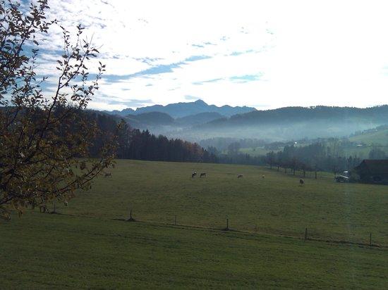 Grenzwanderweg Flawil