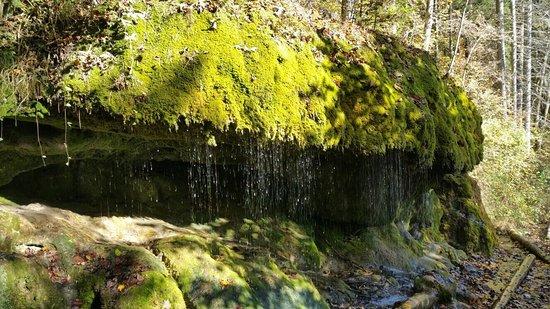 Wutachschlucht