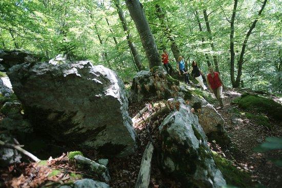 Hohenwittlingensteig