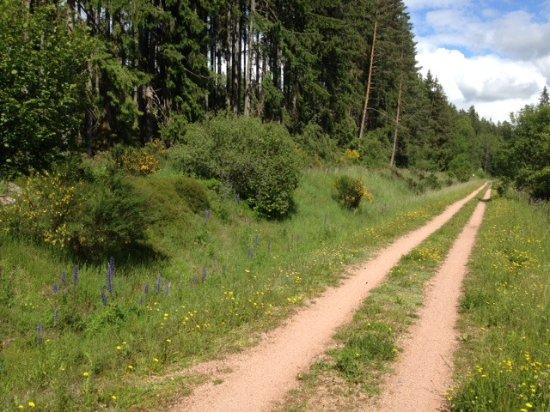 Bahnleradweg