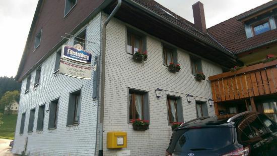 Pauli Wirt