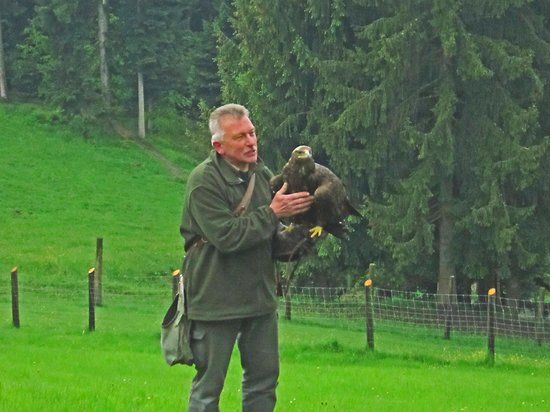 die Adlerwarte Eagle Observatory