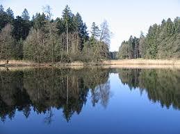 der Holzweiher