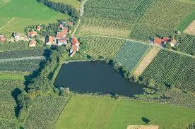die Appenweiler Weiher
