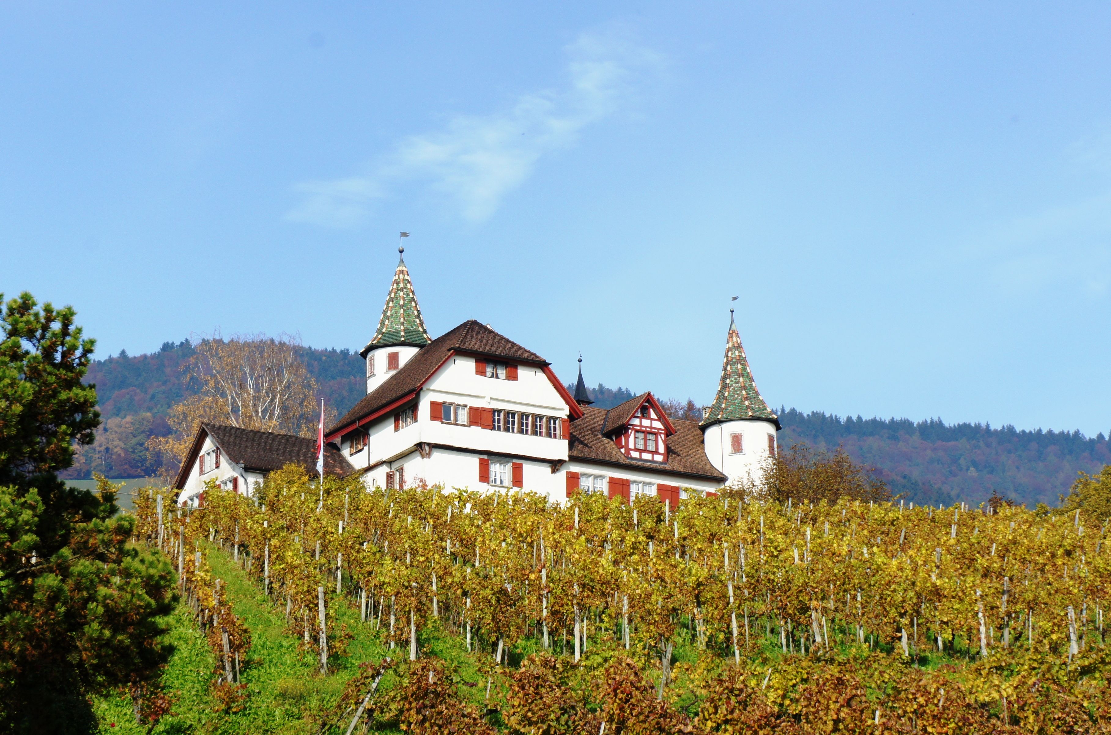 Schlösschen Weinstein