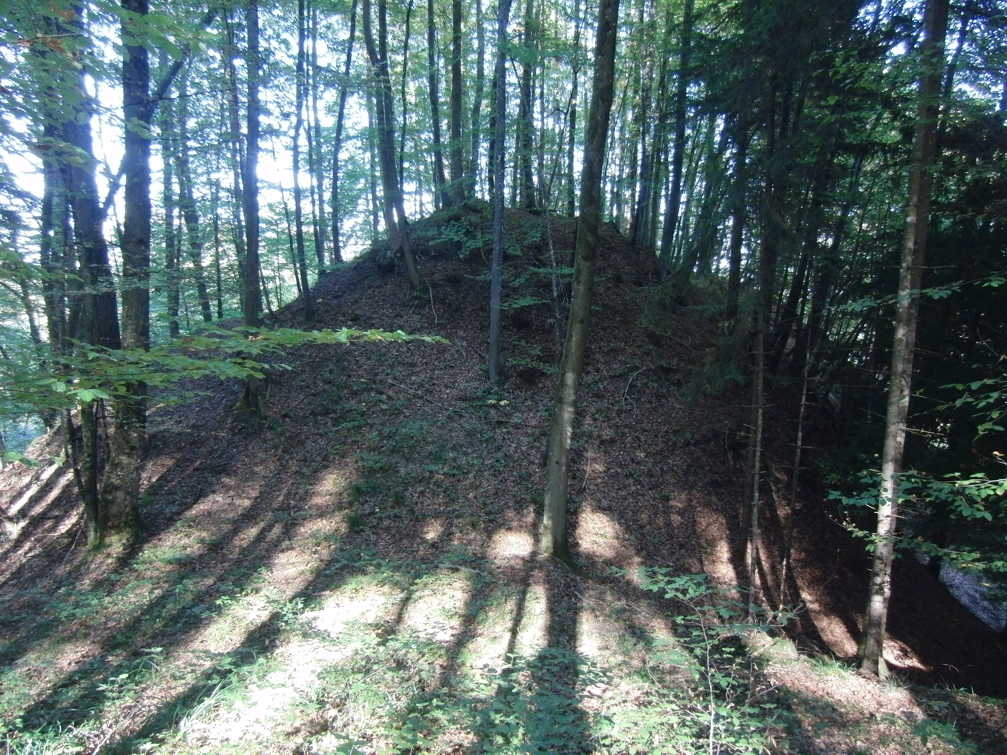 Burg Buch