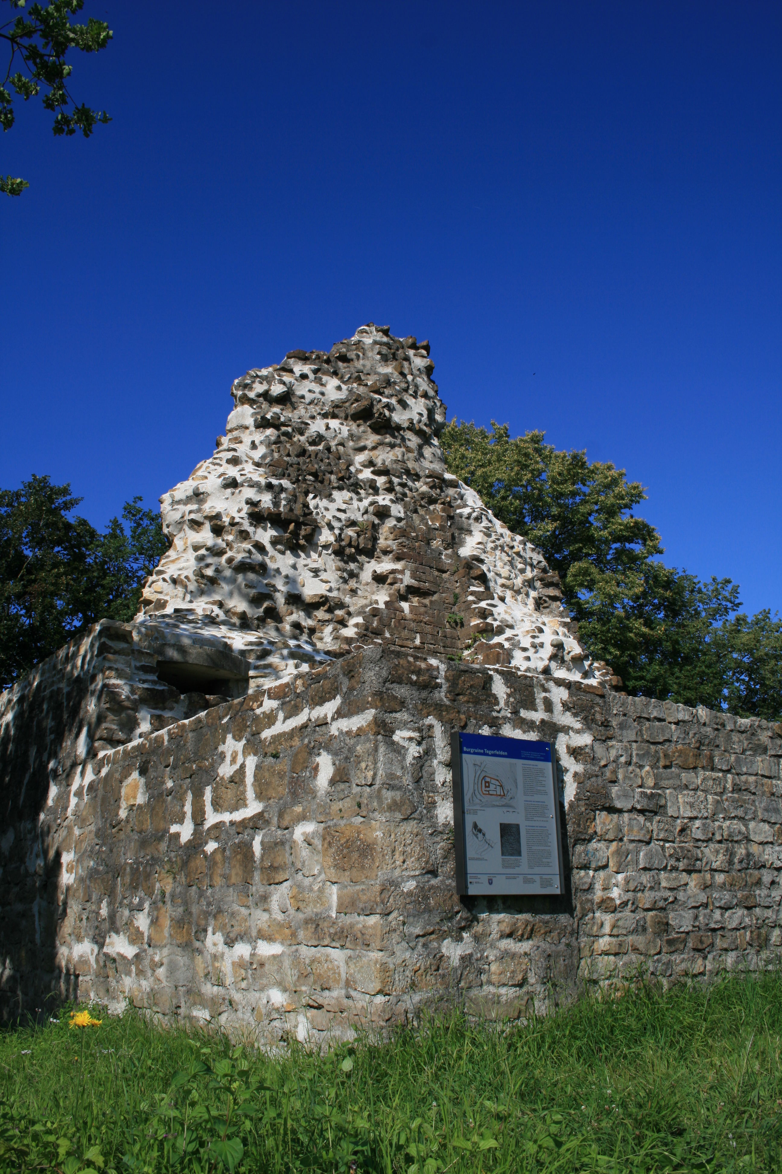 Alt Schloss Tegerfelden