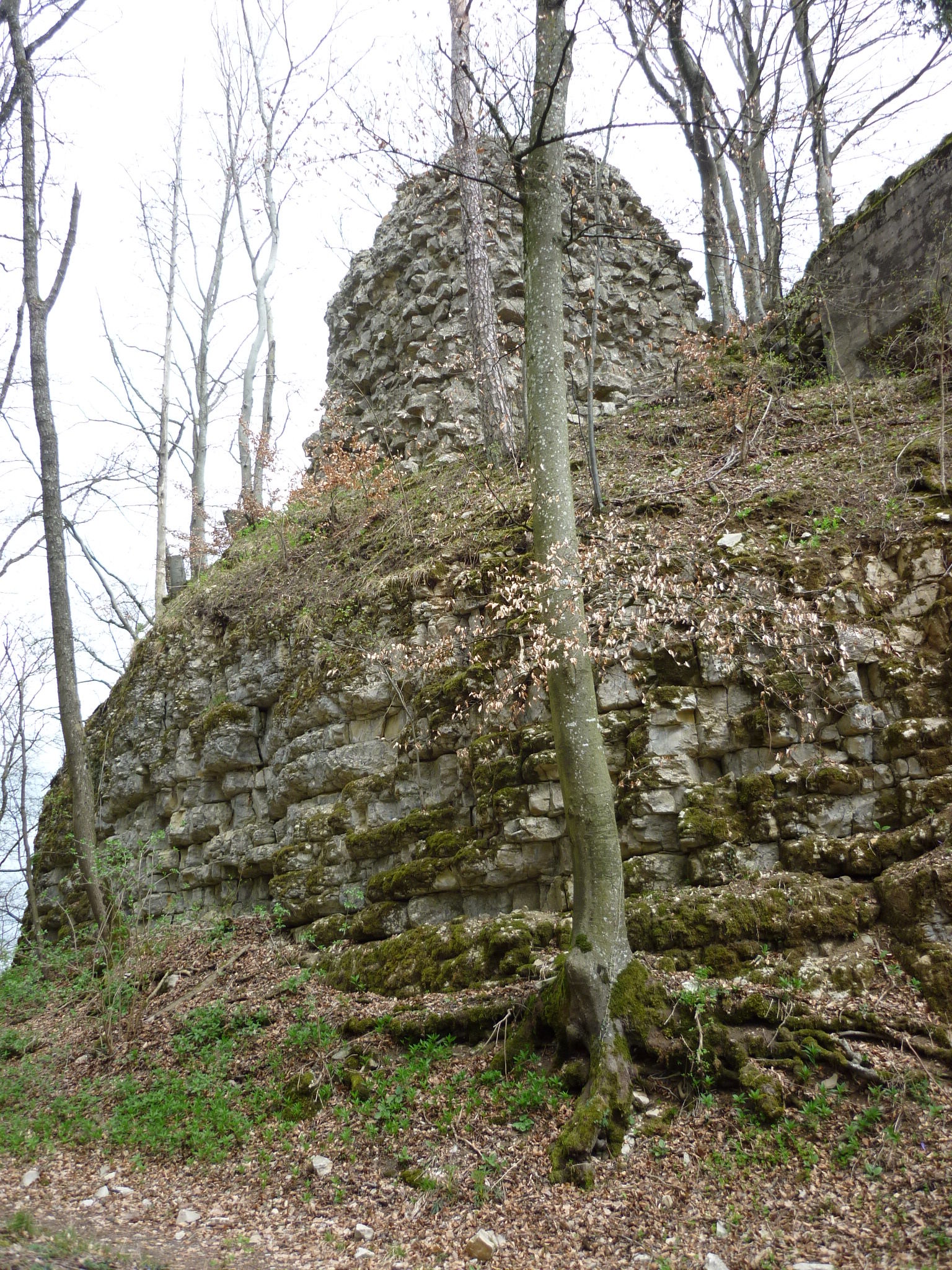 Ruine Besserstein