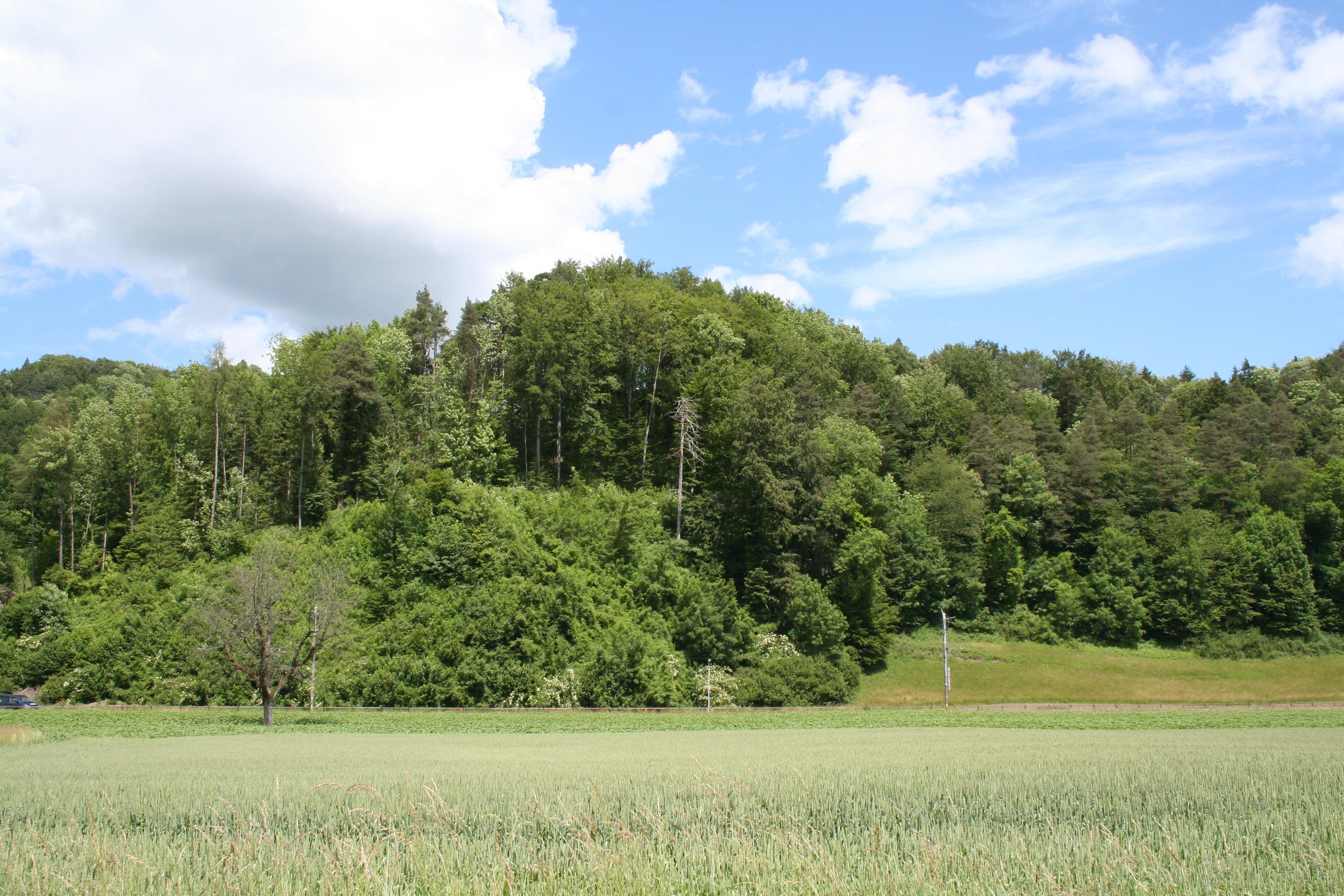 Ruine Liebenberg