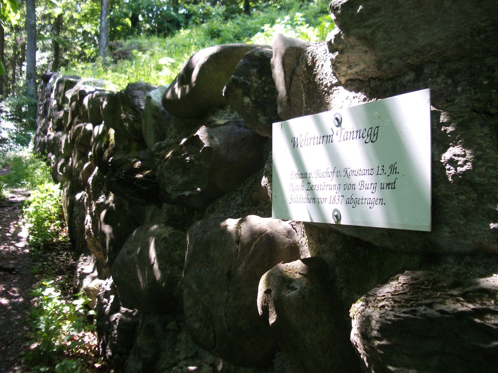 Tannegg, Burgruine