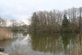 der Lindenweiher