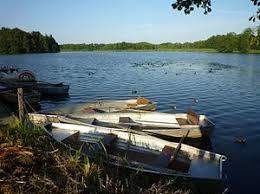 die Schwaigfurter Weiher