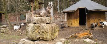 das Wildgehege Waldshut