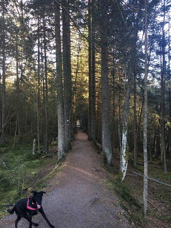der Windgfällweiher